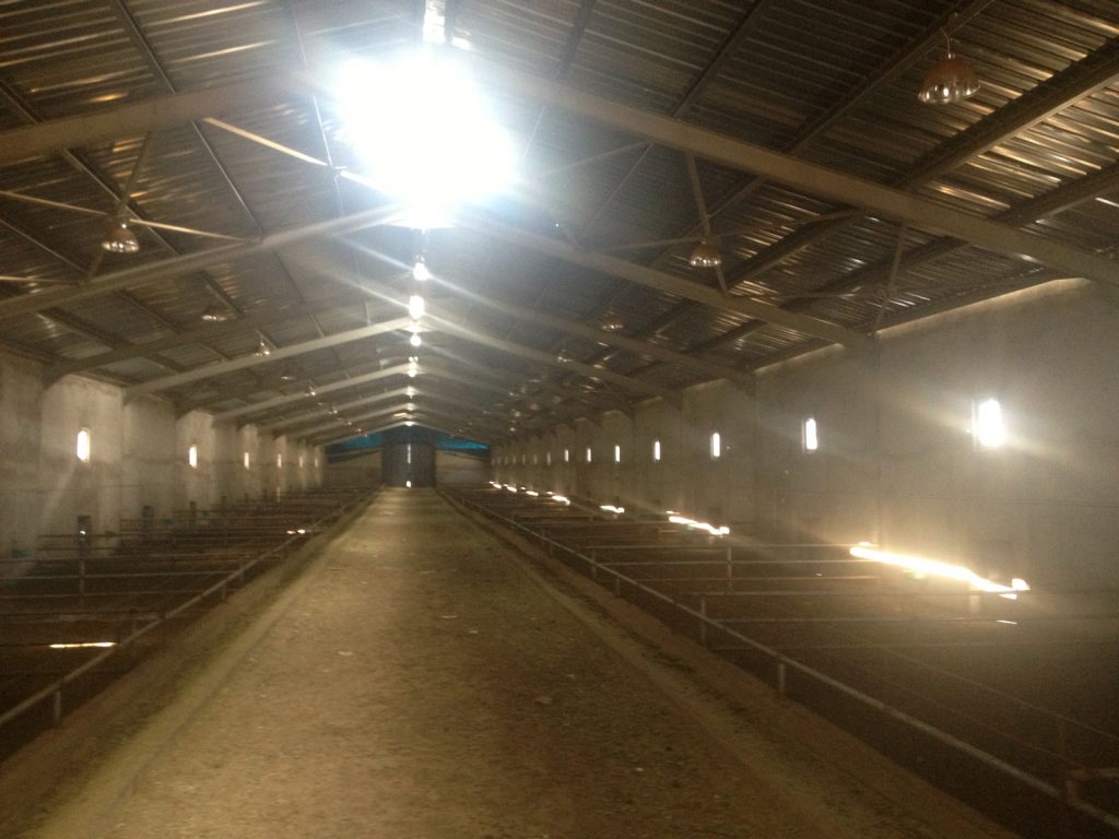 HAYVAN ÇİFTLİĞİ PROJESİ - BAYBURT